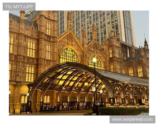 澳门伦敦人名汇官网的背景与发展历程，了解其在行业中的地位与影响