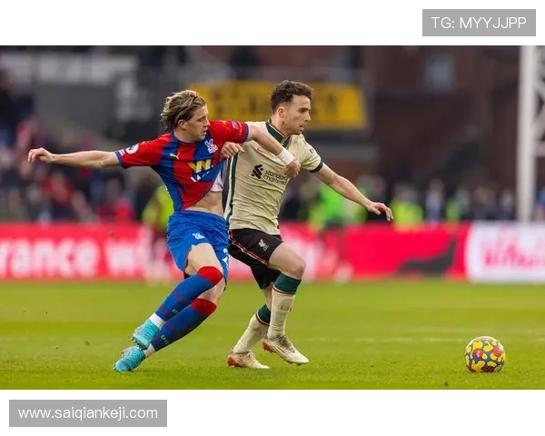 水晶宫足球队队员官网展示队员的荣誉奖项与职业成就